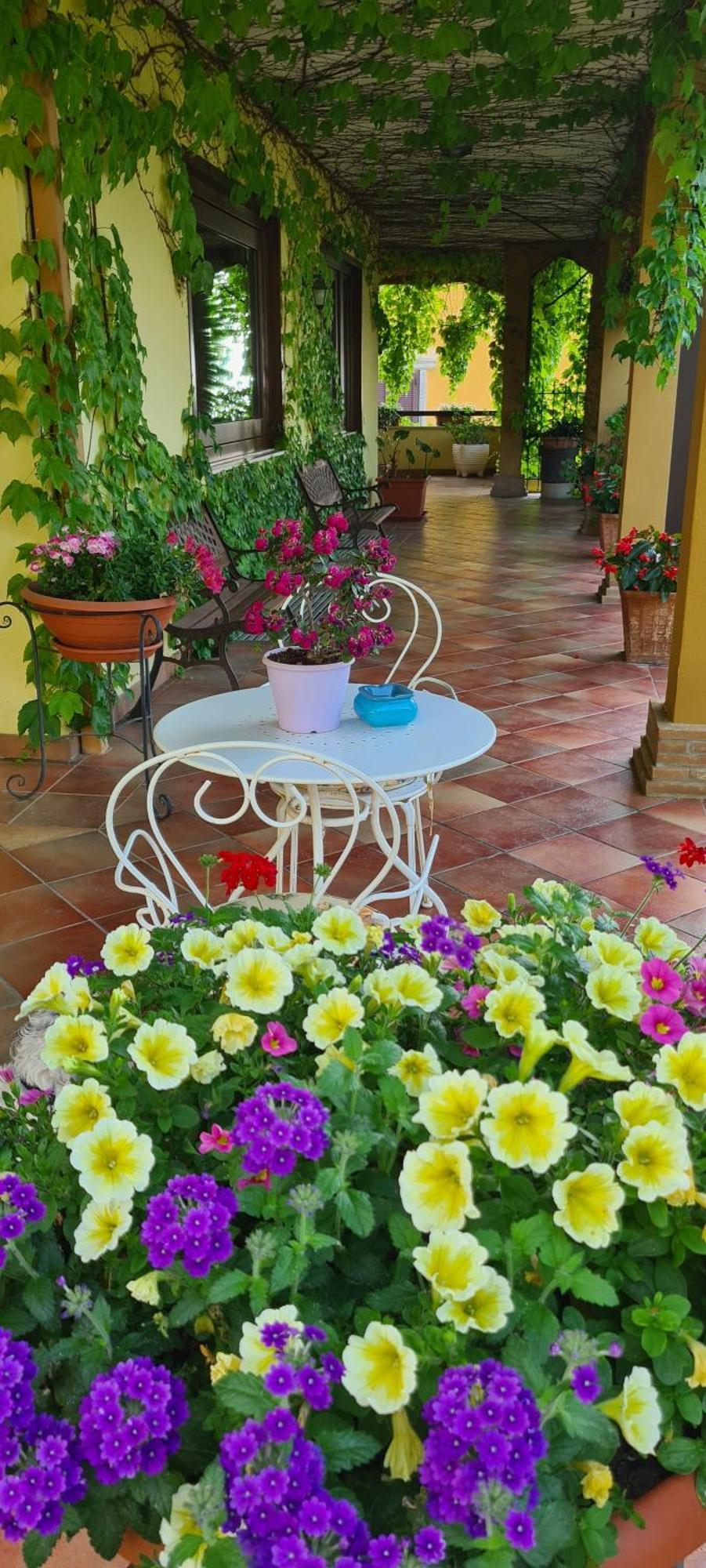 Villa Olga B&B Формія Екстер'єр фото