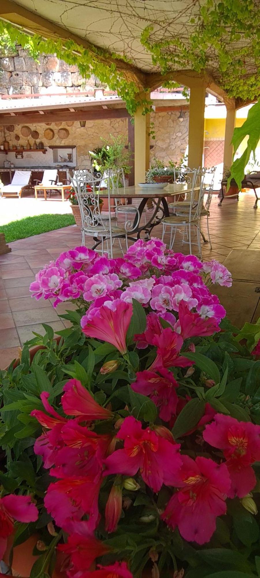 Villa Olga B&B Формія Екстер'єр фото
